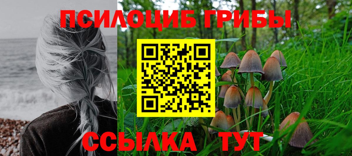Галлюциногенные грибы MAGIC MUSHROOMS  Галлюциногенные грибы GOLDEN TEACHER  Арсеньев  Вход с VPN 