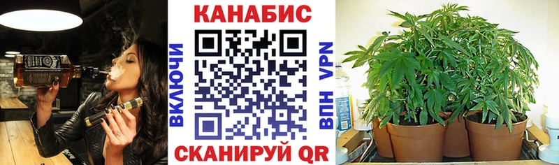 Бошки Шишки ГИДРОПОН наркошоп Арсеньев
